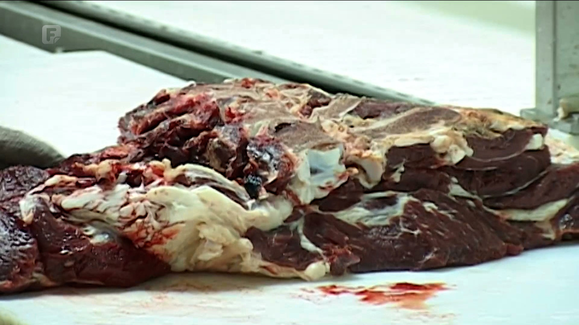 Ponovo krenuo izvoz goveđeg mesa iz BiH u Tursku